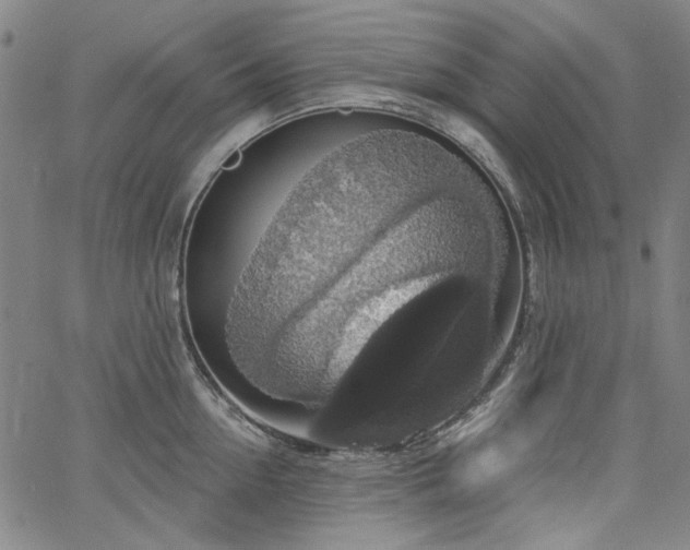 X0000064740954200602101144