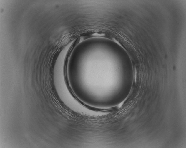X0000064740961200602101144