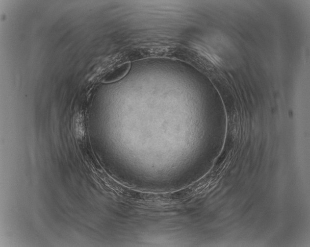 X0000064740962200602101144