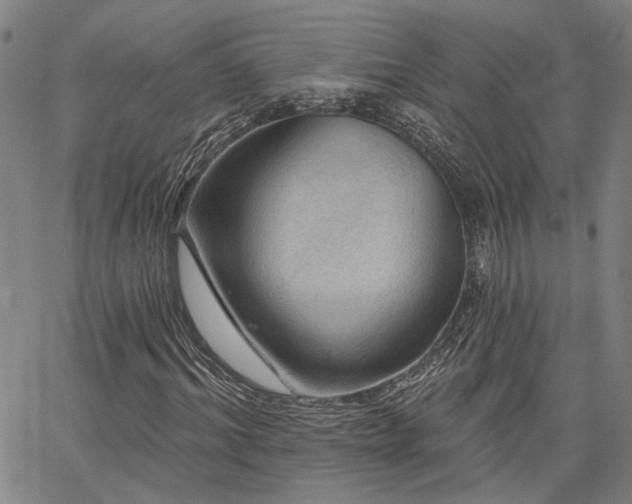 X0000064740964200602101144