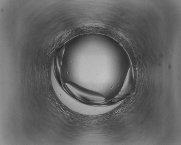 X0000064740965200602101144