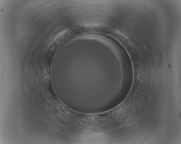 X0000064740966200602101144