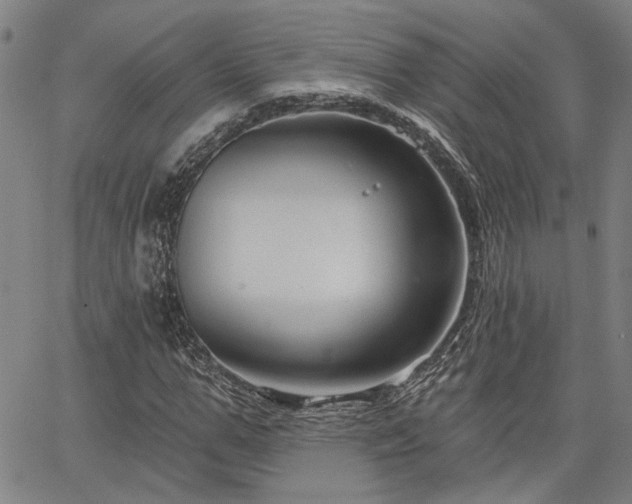 X0000064740967200602101143