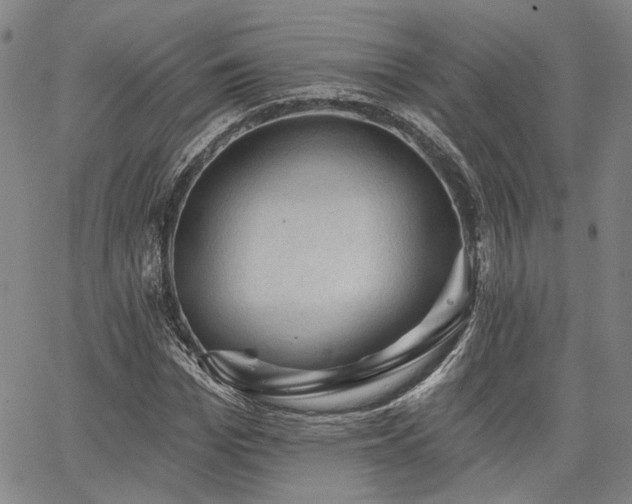 X0000064740969200602101143