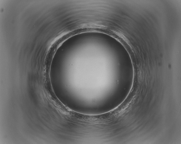 X0000064740971200602101143