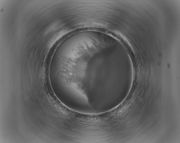 X0000064740975200602101143