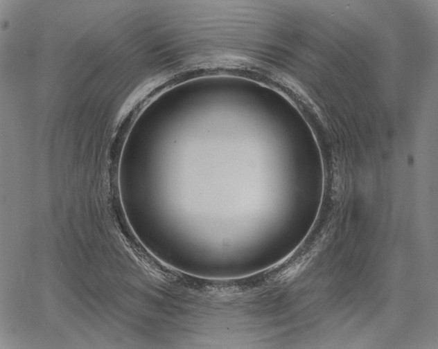 X0000064740978200602101143