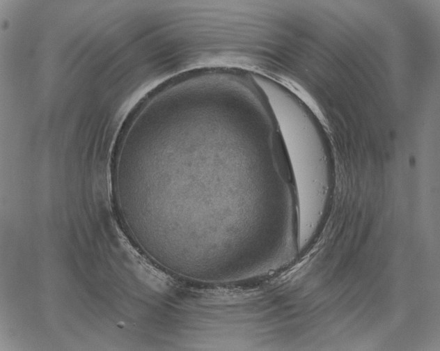 X0000064740980200602101143