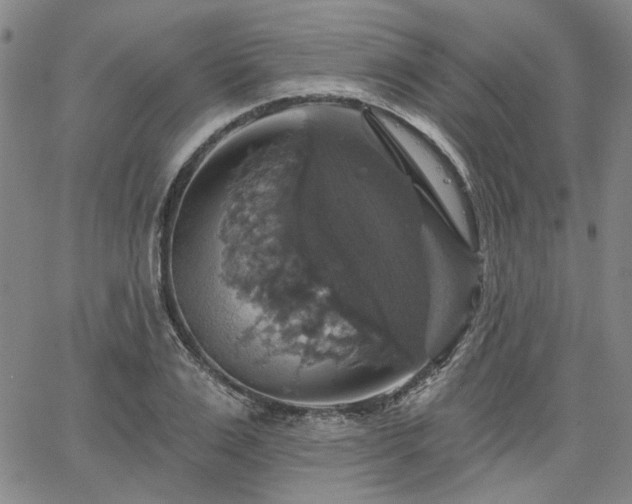 X0000064740983200602101143