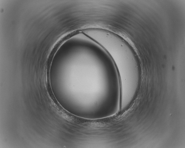 X0000064740984200602101143