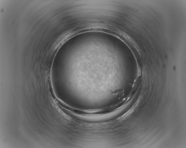 X0000064740985200602101143