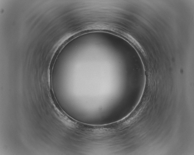 X0000064740988200602101143