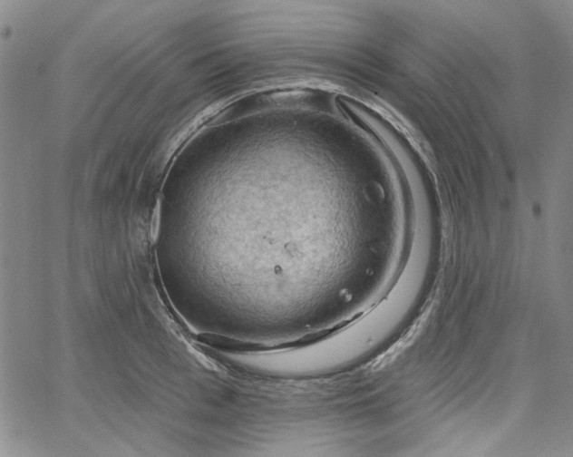 X0000064740993200602101143