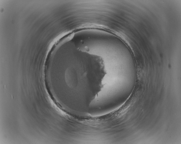 X0000064740995200602101143