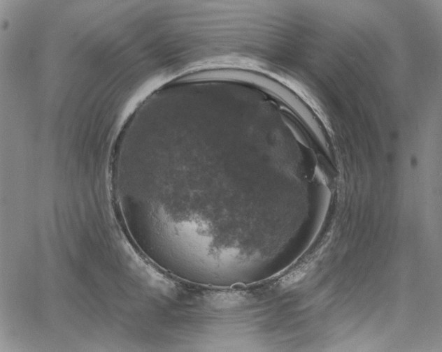 X0000064740998200602101143