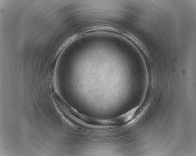 X0000064741001200602101143