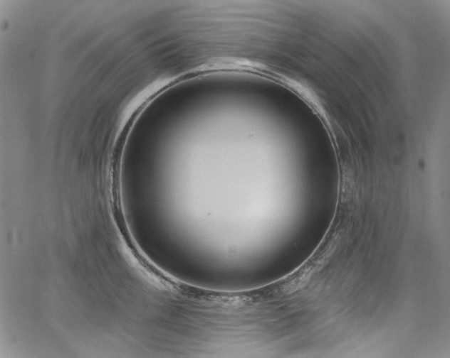 X0000064741003200602101143