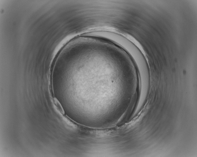 X0000064741005200602101143