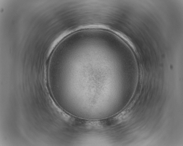 X0000064741006200602101143