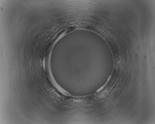 X0000064741010200602101142