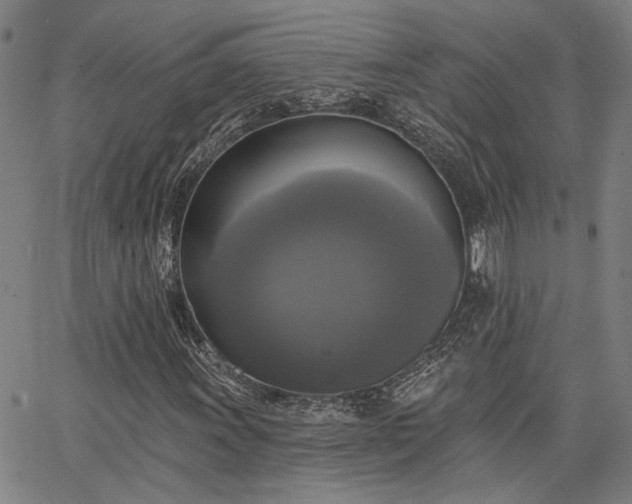 X0000064741011200602101142