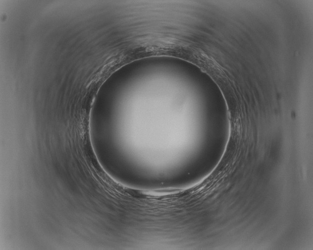 X0000064741012200602101142