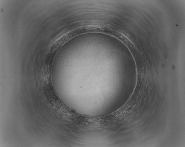 X0000064741015200602101142