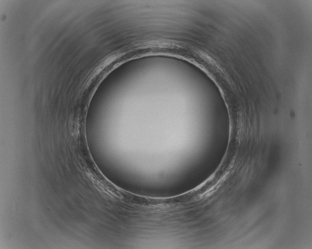 X0000064741017200602101142