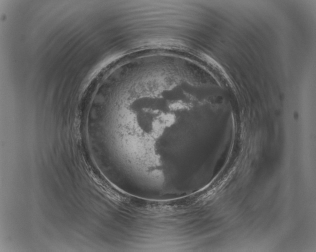 X0000064741019200602101142
