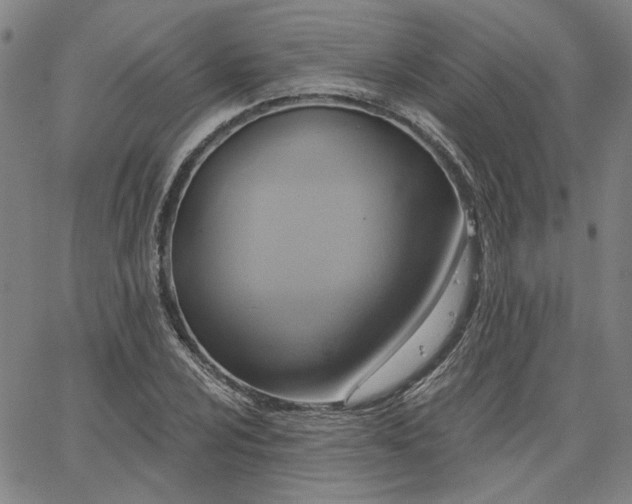 X0000064741024200602101142