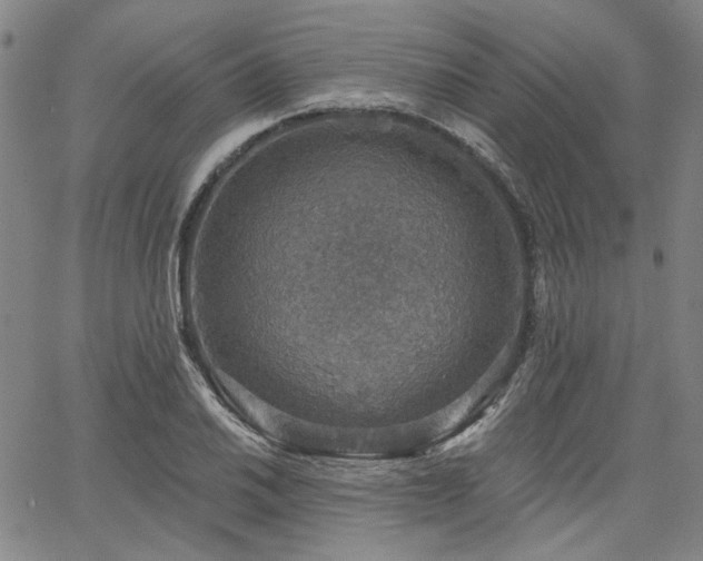 X0000064741030200602101142