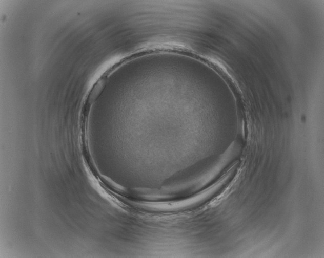 X0000064741038200602101143