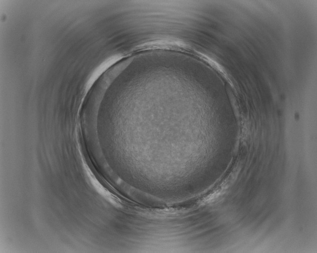 X0000064741042200602101143
