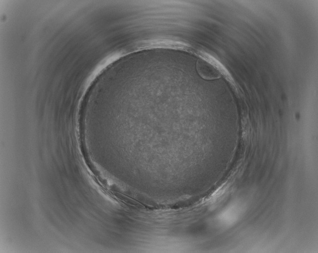 X0000064741043200602101143