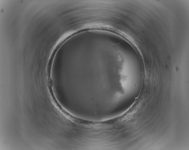 X0000064741045200602101143