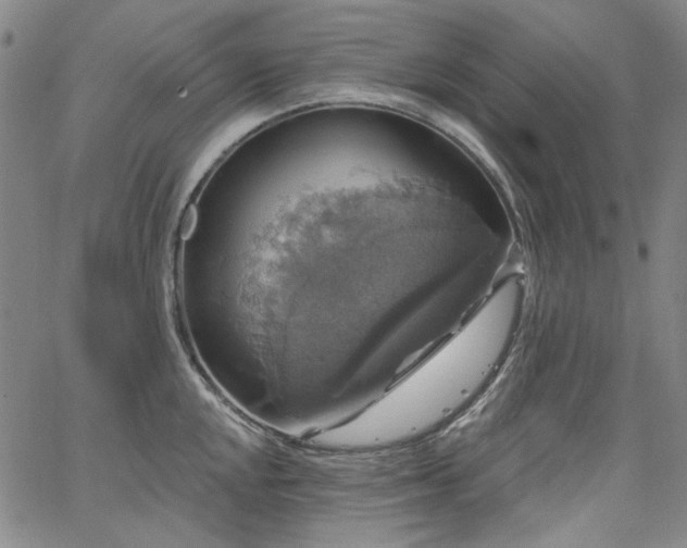 X0000064741048200602101143