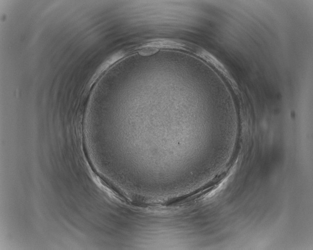 X0000064741049200602101143