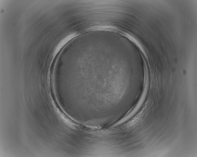 X0000064741050200602101143