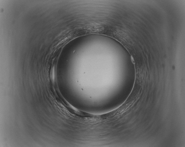 X0000064741058200602101142