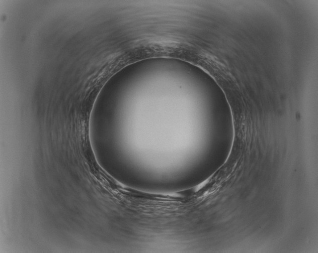X0000064741061200602101142