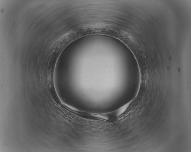 X0000064741062200602101142