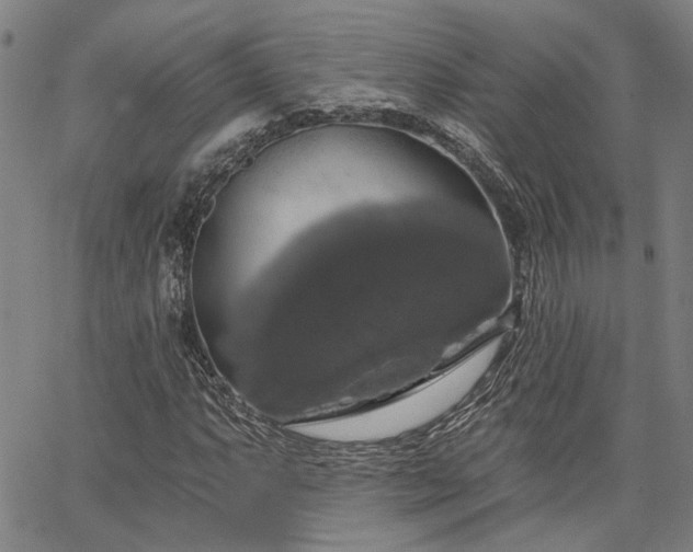 X0000064741063200602101142