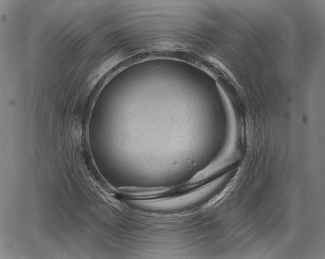 X0000064741065200602101142
