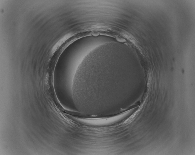 X0000064741066200602101142