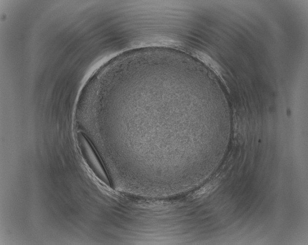 X0000064741072200602101142