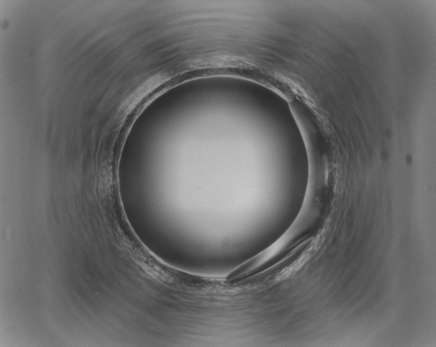 X0000064741073200602101142