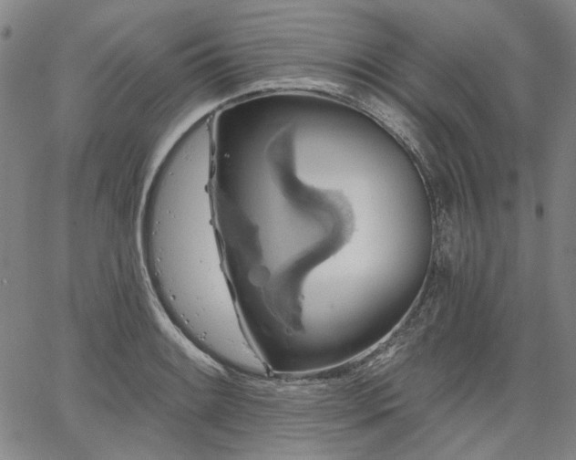 X0000064741084200602101142
