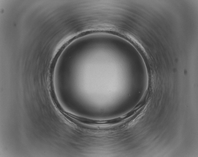 X0000064741085200602101142