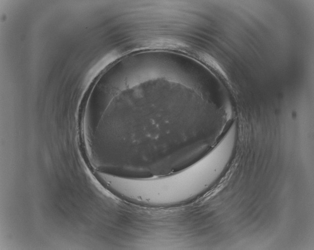 X0000064741087200602101142