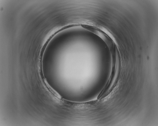 X0000064741093200602101141